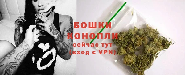 прущие грибы Абдулино